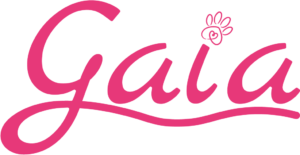 peluqueria para perros peluqueria canina