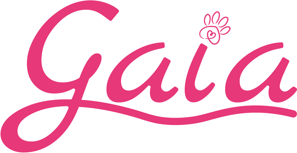 peluqueria para perros peluqueria canina