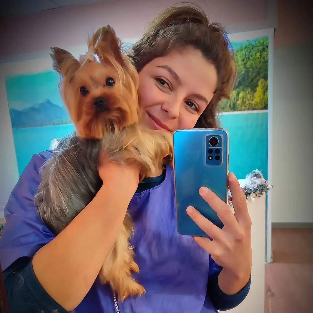 Perro después de un baño en Peluquería Canina Gaia en Priego de Córdoba